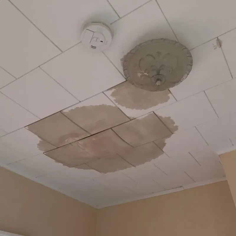 Ceiling Water Damage Repair in Mora, MN