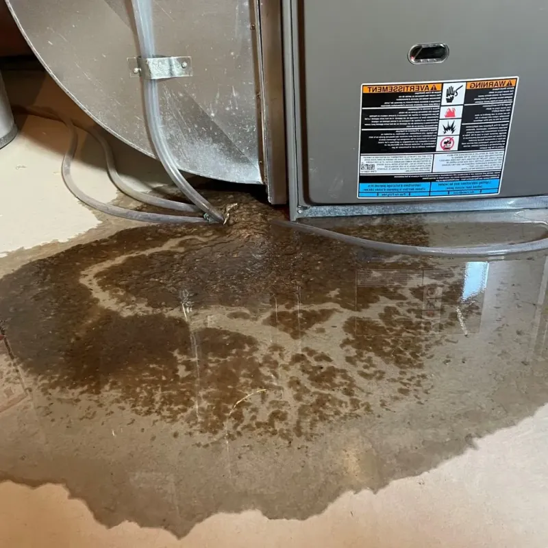 Pipe Burst and Leak Restoration in Mora, MN