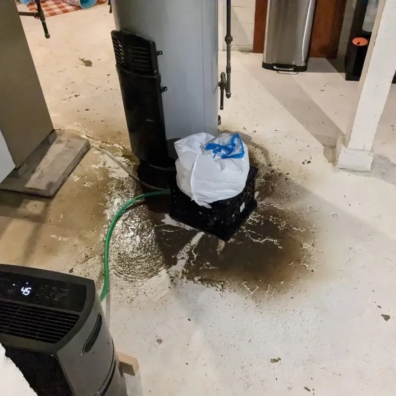 Sewage Backup Cleanup Service in Mora, MN